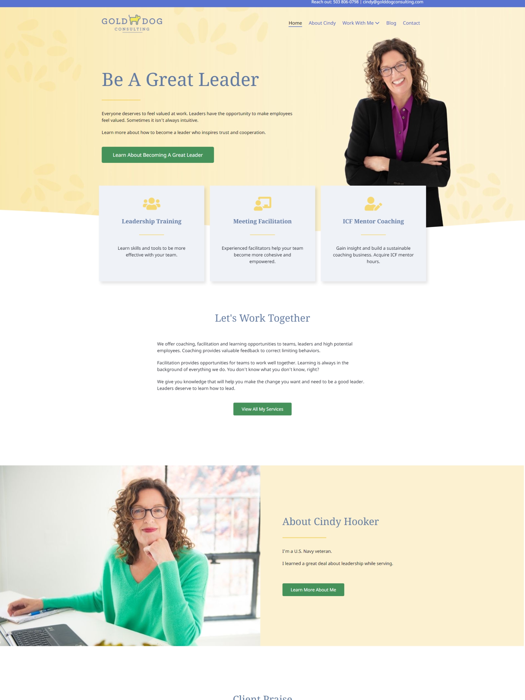 Screenshot of Gold Dog Consulting home page